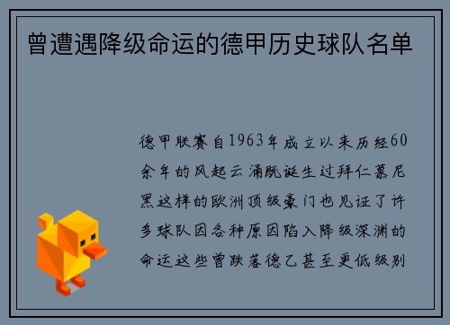 曾遭遇降级命运的德甲历史球队名单